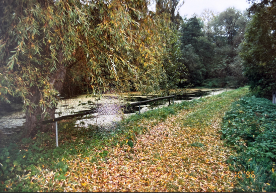 Der Park 1996 Durchfahrt von Orlamünde