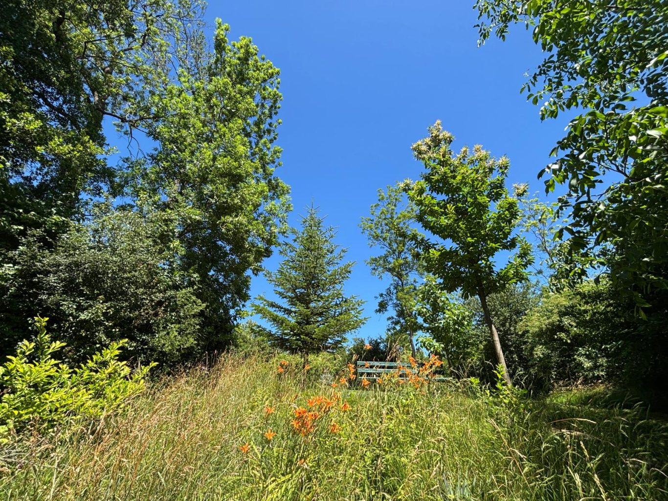 Bänke im Park zum Verweilen