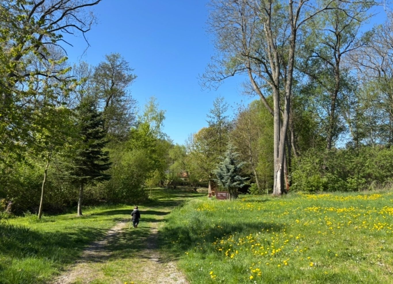 Spazierweg von Orlamünde